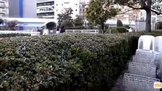 934小宝寻花啪啪极品第二场5